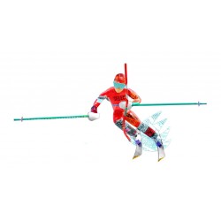 Magnet Ski Slalom World Cup...